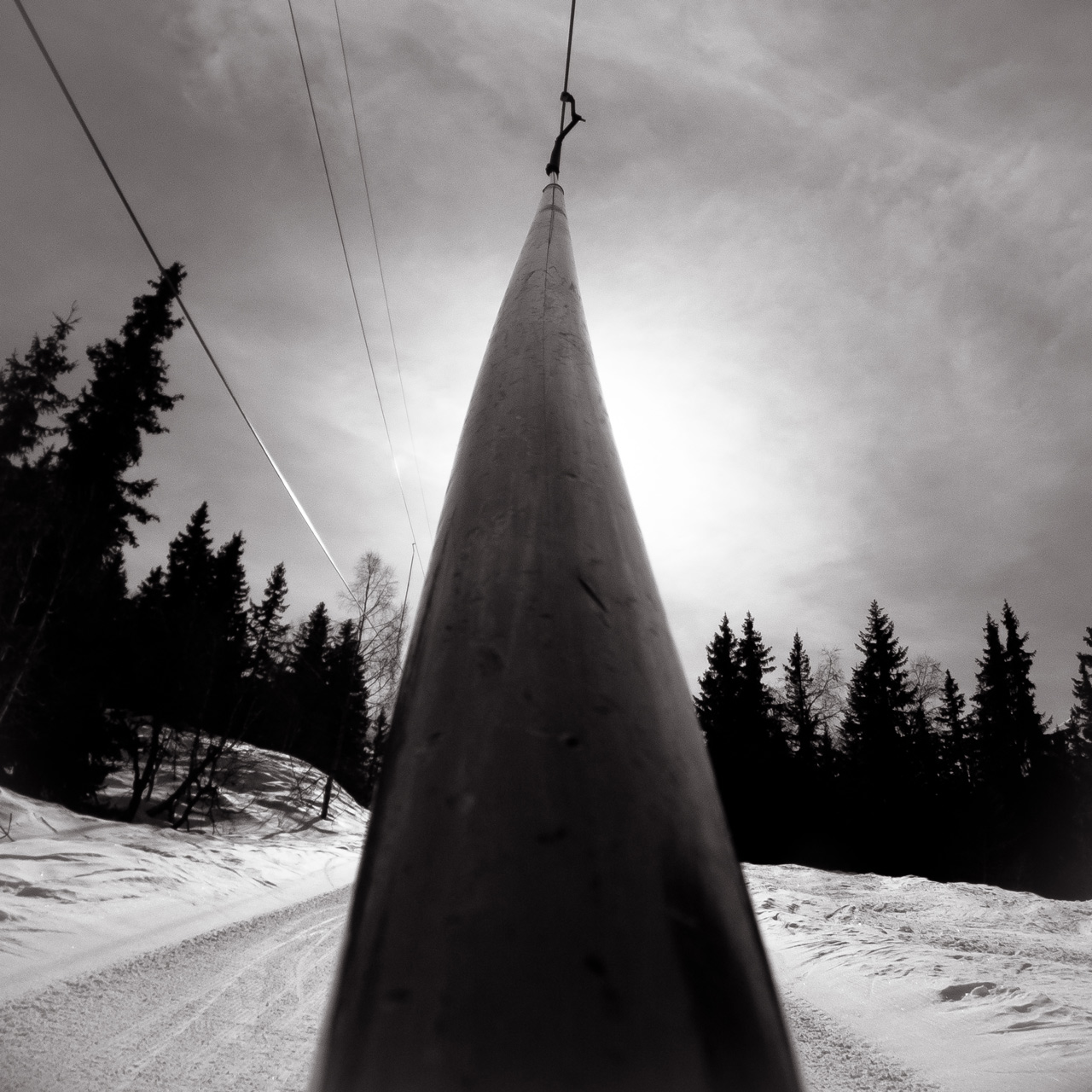 Photo: Impaled