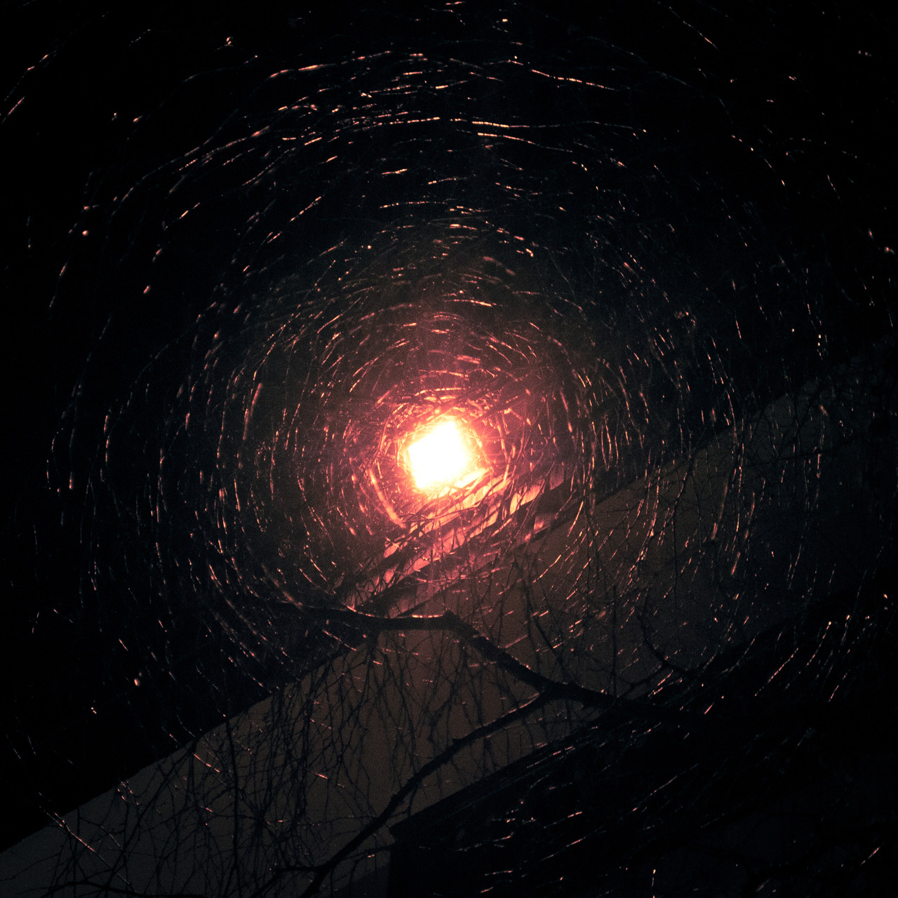 Photo: Wide Wooden Web