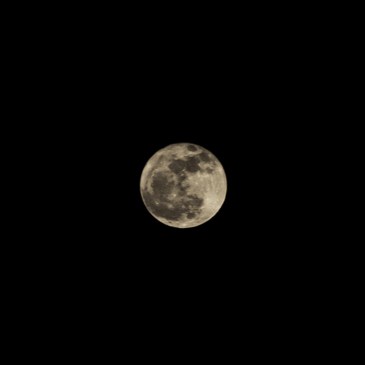 Photo: Little Moon