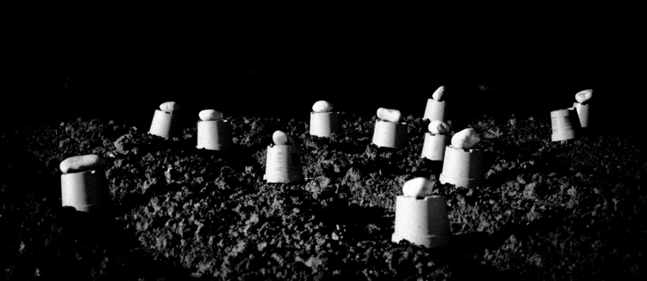 Photo: Graveyard