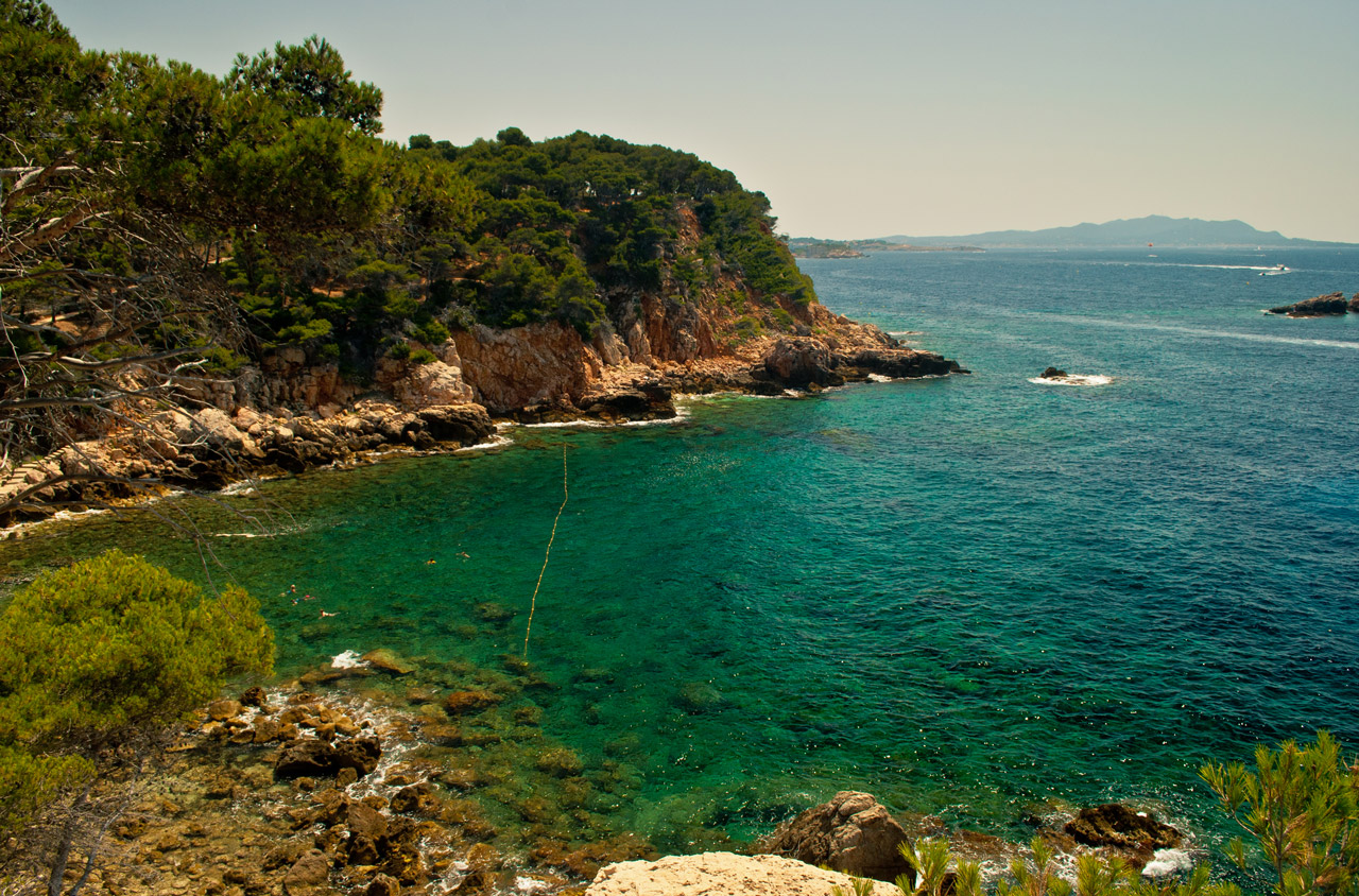 Photo: Summertime!