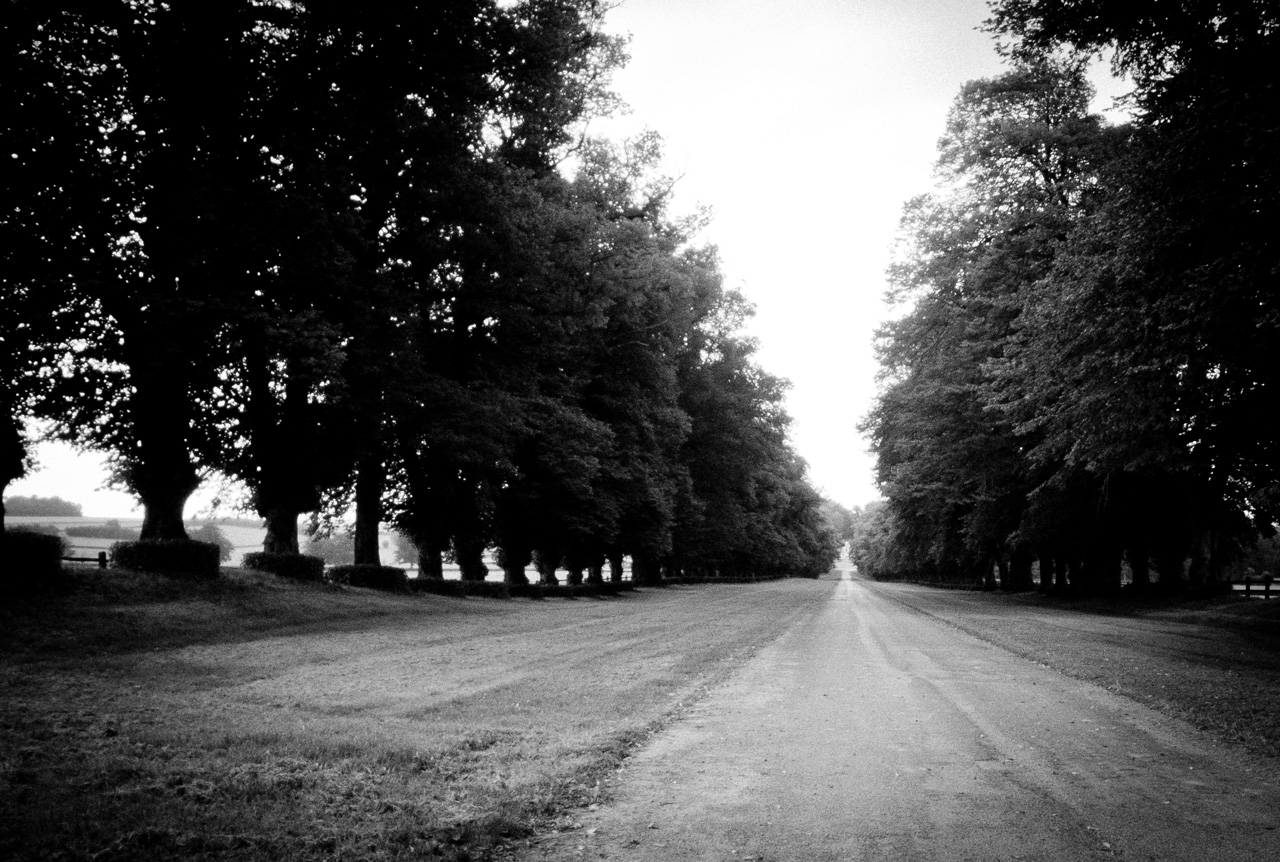 Photo: Wanna walk?