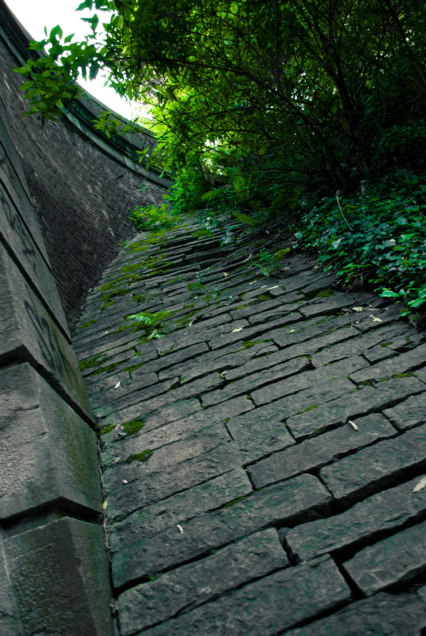 Photo: Mossy Grounds