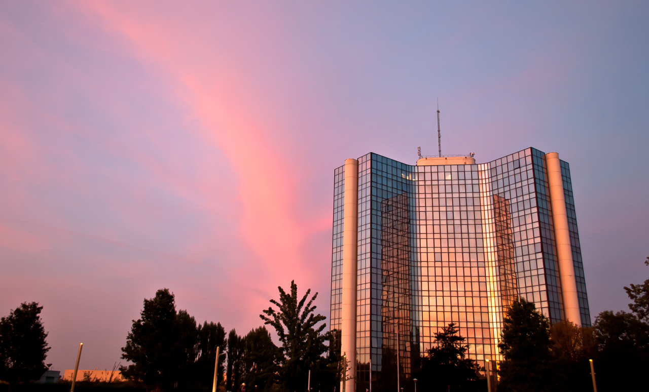 Photo: 50 Shades of Pink