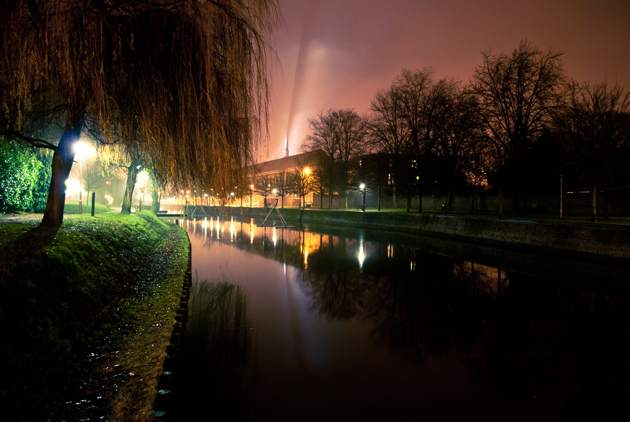 Photo: Night Magic