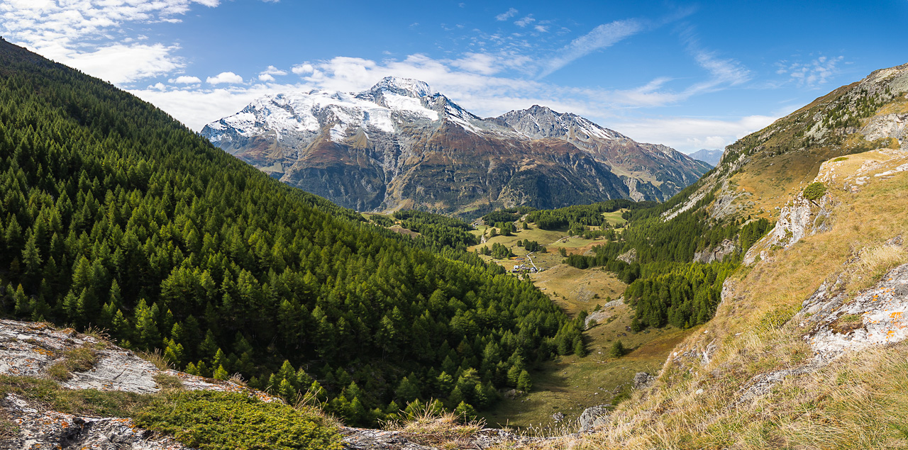 Photo: Forestslide