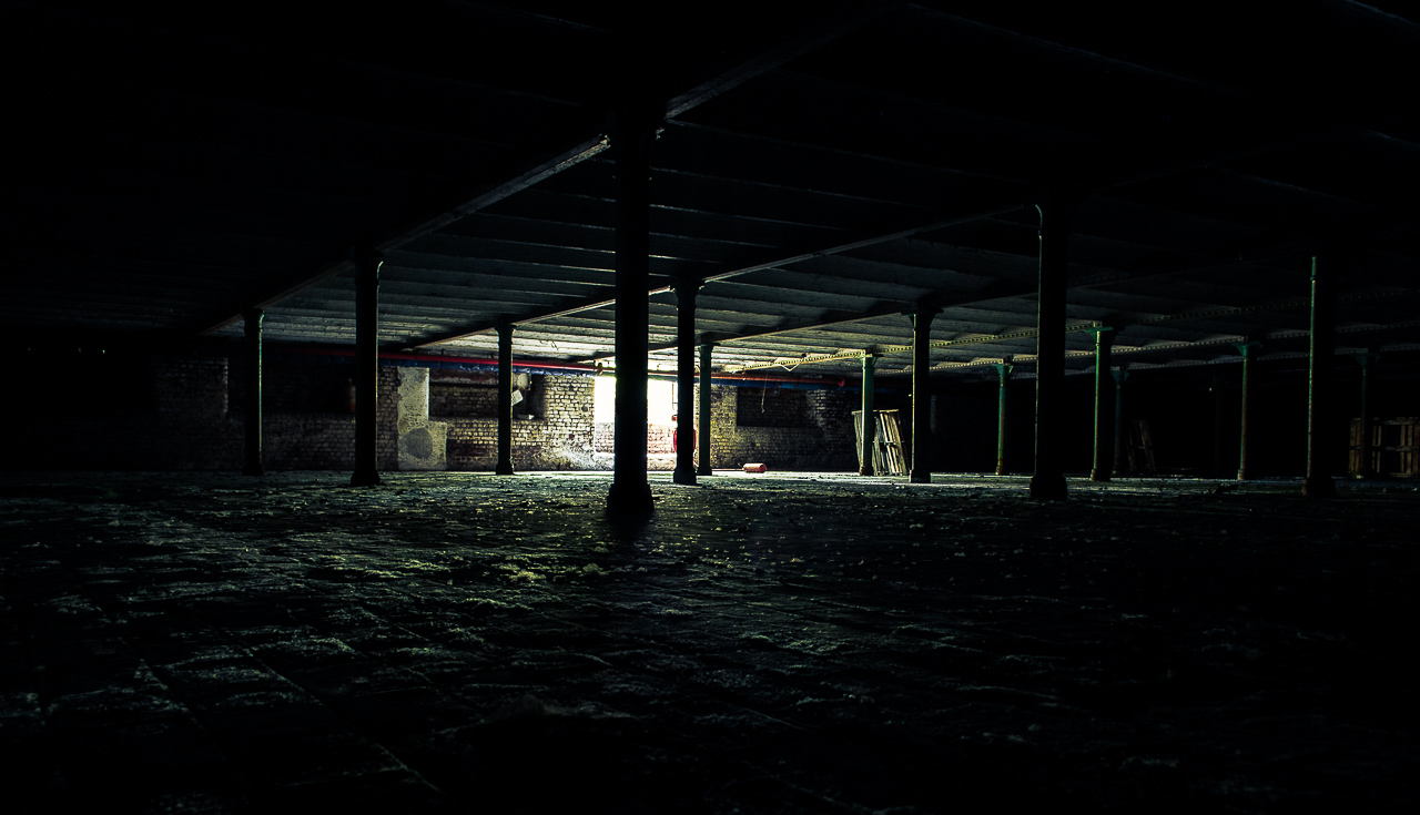 Photo: From The Basement