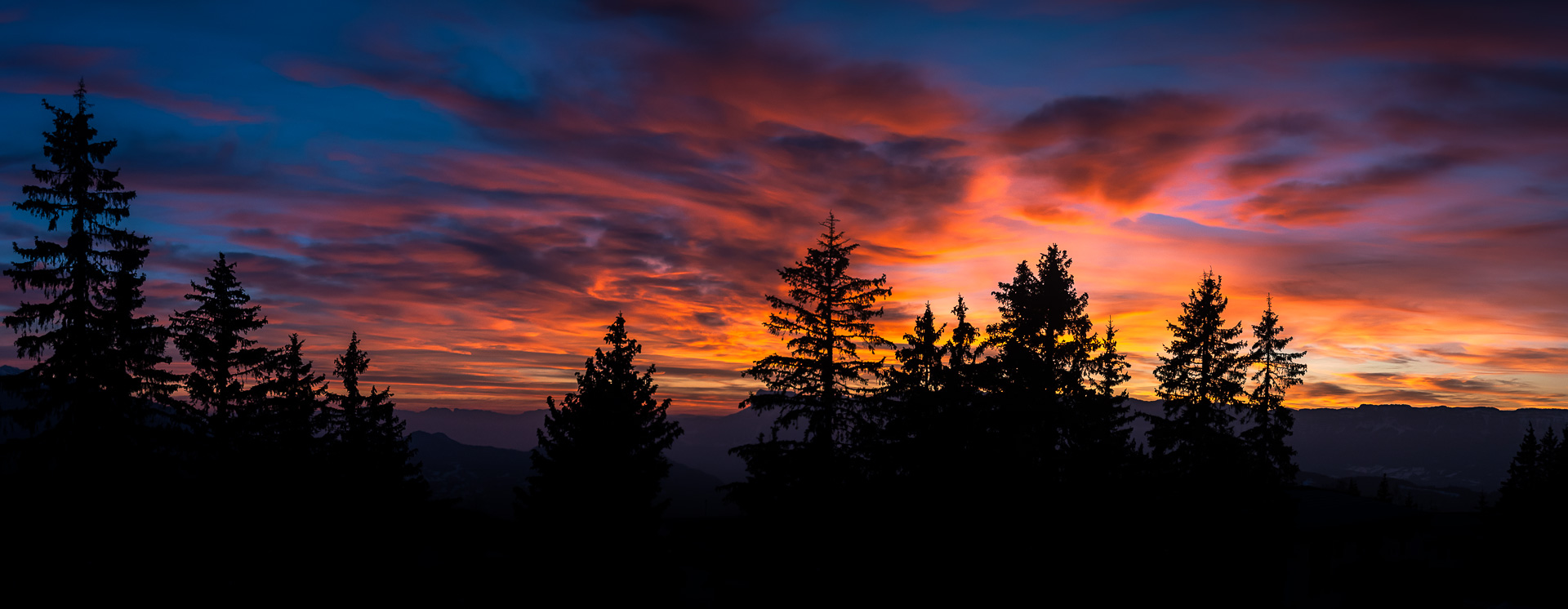 Photo: Grand Finale