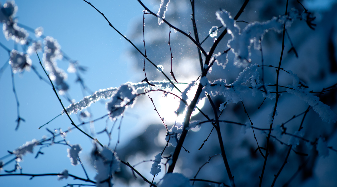 Photo: Icy Blue