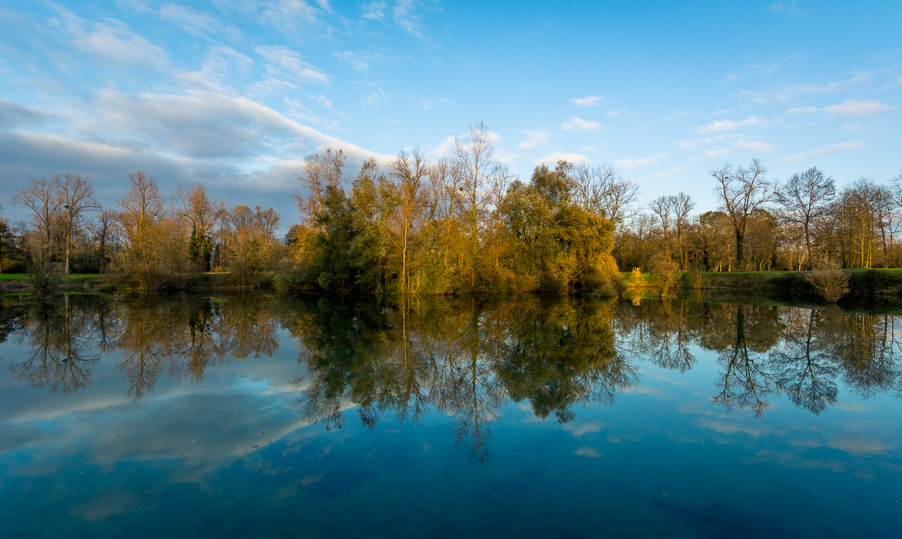 Photo: Reflections