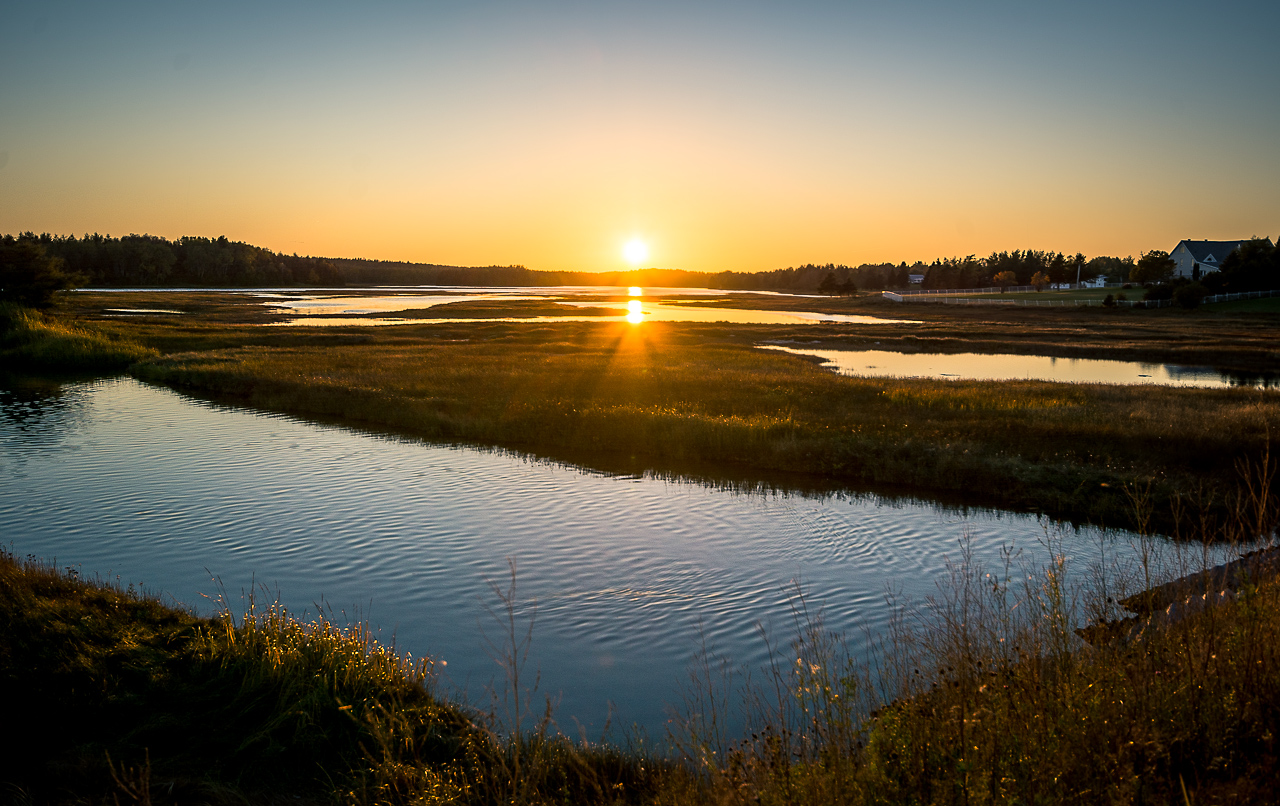 Photo: The Marsh