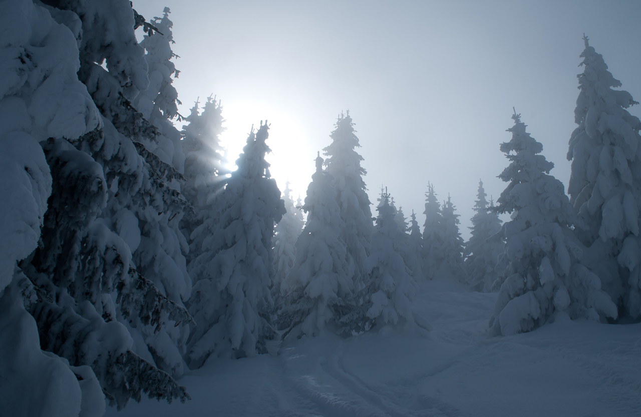 Photo: The Path
